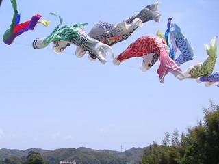 koinobori.jpg